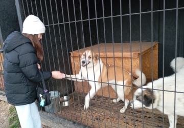 Маленькі кроки до великого добра