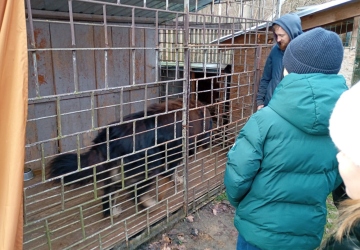 Маленькі кроки до великого добра