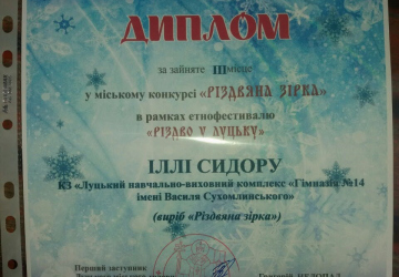 Сидор Ілля взяв участь у загальноміському конкурсі «Різдвяна зірка»