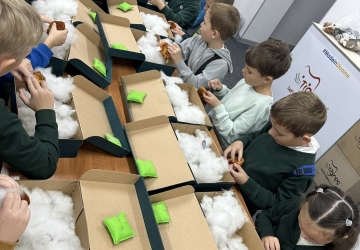 Екскурсія у світ іграшок