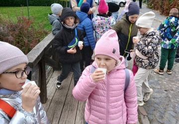 3-Б шукає скарби