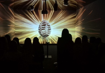 Уроки історії та мистецтва у Волинському краєзнавчому музеї