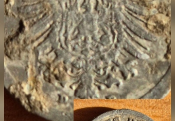 Нумізматичне поповнення музею