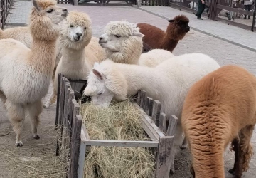 Моя роль у житті