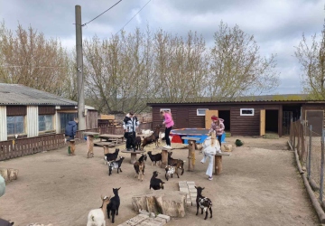 Моя роль у житті