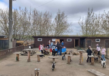 Моя роль у житті