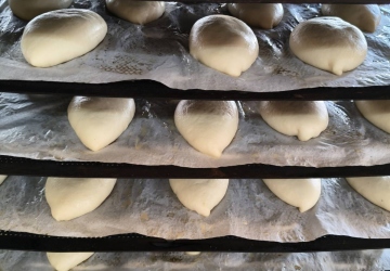 Найзапашніша екскурсія 6-Г