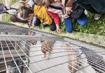 Місія добра в дії