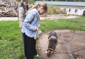 Місія добра в дії