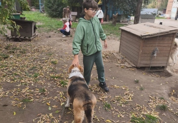 Місія добра в дії