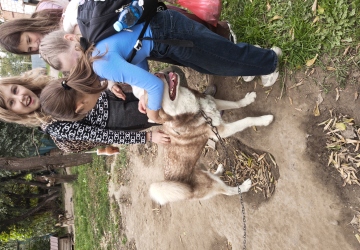 Місія добра в дії