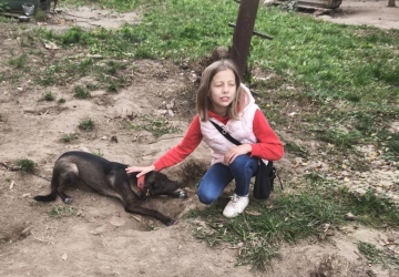 Місія добра в дії