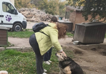 Місія добра в дії