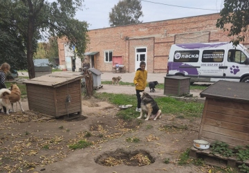 Місія добра в дії