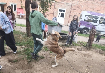 Місія добра в дії