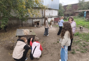 Місія добра в дії