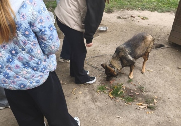 Місія добра в дії