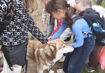 Місія добра в дії