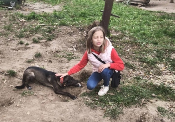Місія добра в дії
