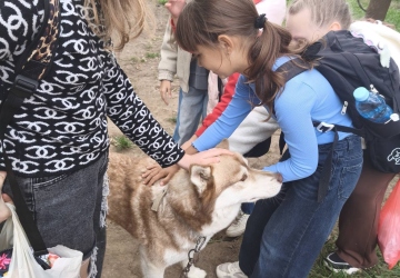 Місія добра в дії