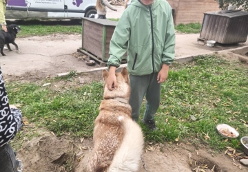 Місія добра в дії