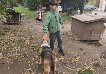 Місія добра в дії