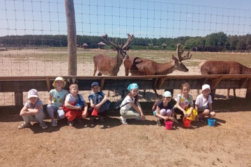 Екскурія на ферму благородного оленя